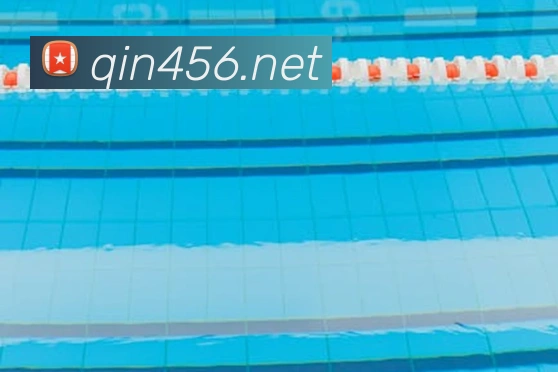 世界杯网平台生态图